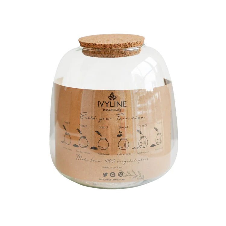 Medium DIY 100% Recyled Glass Bowl Terrarium Kit With Lid Luxury Home Decor Garden & Outdoor And Gifts