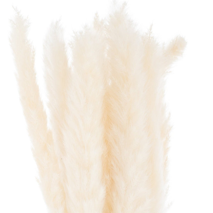 Mini White Pampas Grass Bunch of 15 - Best Artificial Flower Single Stem Luxury Home Decor Garden & Outdoor And Gifts