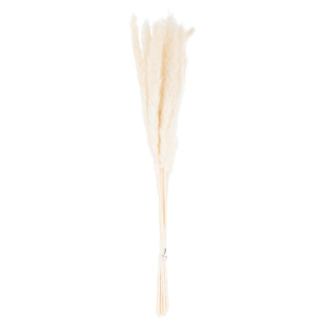 Mini White Pampas Grass Bunch of 15 - Best Artificial Flower Single Stem Luxury Home Decor Garden & Outdoor And Gifts