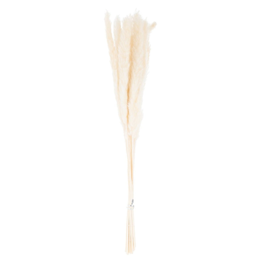 Mini White Pampas Grass Bunch of 15 - Best Artificial Flower Single Stem Luxury Home Decor Garden & Outdoor And Gifts