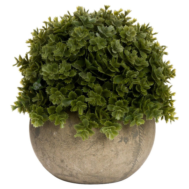 Miniature Hebe Veronica In Stone Effect Pot - Artificial Potted Plants Luxury Home Decor Garden & Outdoor And Gifts