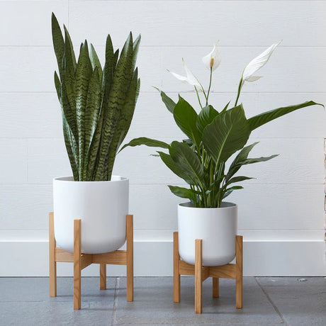 Minimalist White Ceramic Indoor Planter Luxury Home Decor Garden & Outdoor And Gifts