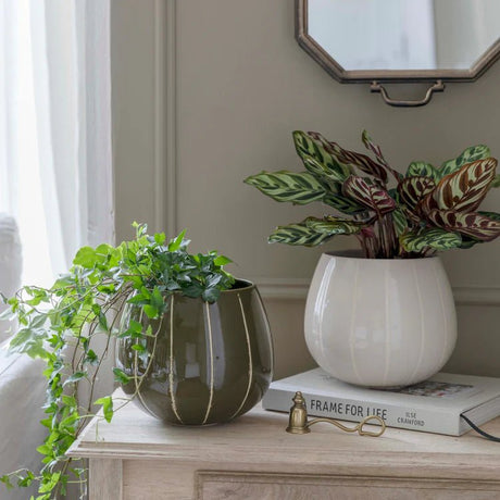 Neutral Cream Striped Planter - Uses Exclusive Wax Relief Luxury Home Decor Garden & Outdoor And Gifts