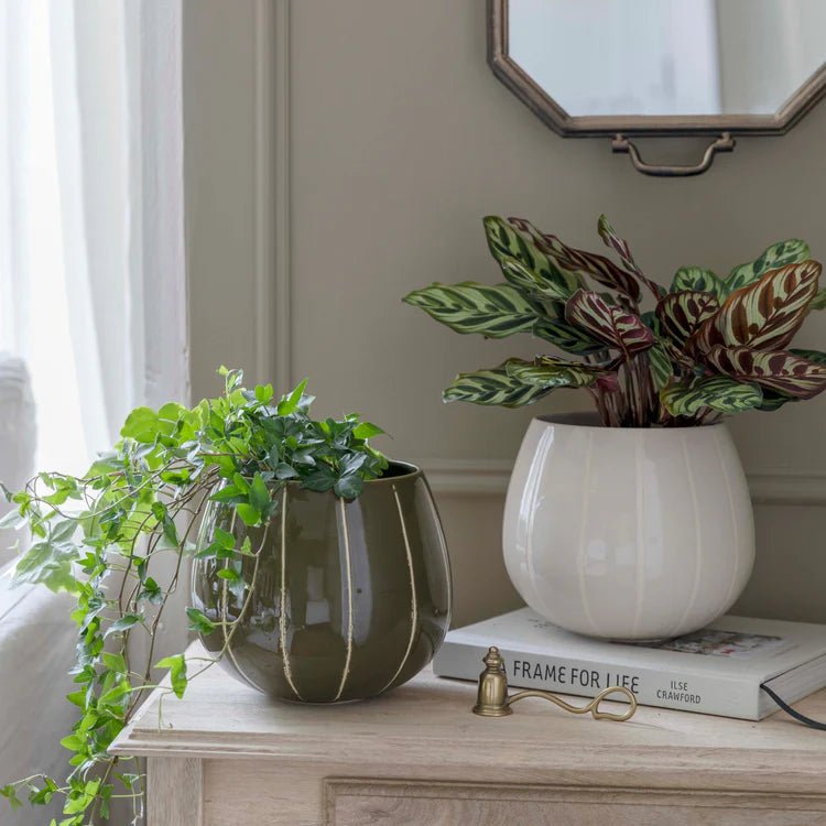 Neutral Cream Striped Planter - Uses Exclusive Wax Relief Luxury Home Decor Garden & Outdoor And Gifts