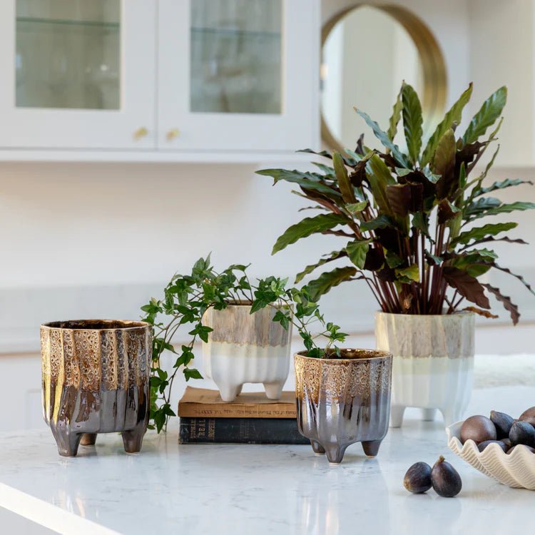 Neve Indoor Planter & Plant Pot - White Quality Home Decor Garden & Outdoor Living and Gifts