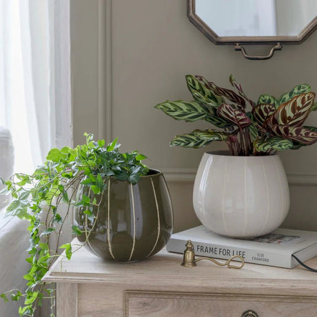 Olive Green Striped Planter - Uses Exclusive Wax Relief Luxury Home Decor Garden & Outdoor And Gifts
