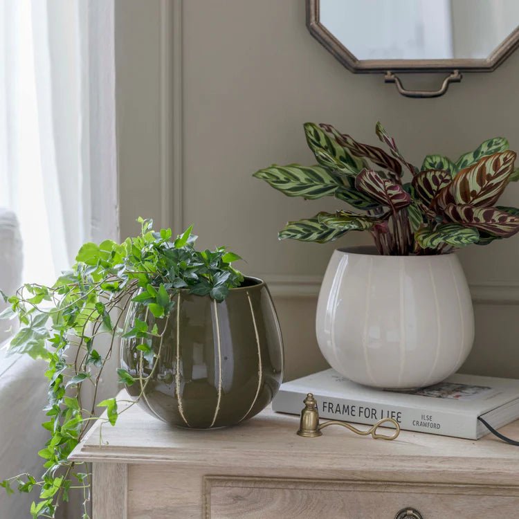 Olive Green Striped Planter - Uses Exclusive Wax Relief Luxury Home Decor Garden & Outdoor And Gifts