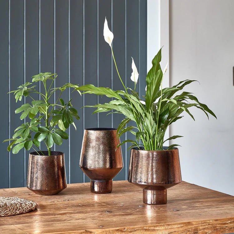 Opulent Tall Curved Metallic Bronze Vase H25Cm W16Cm Luxury Home Decor Garden & Outdoor And Gifts