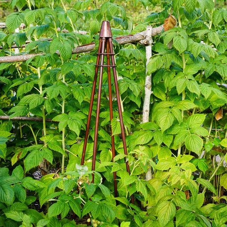 Outdoor Garden Climber Tripod Metal Plant Support Bronze Finish - Fully Collapsible For Storage Quality Home Decor Garden & Outdoor Living and Gifts
