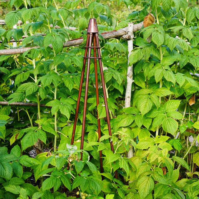 Outdoor Garden Climber Tripod Metal Plant Support Bronze Finish - Fully Collapsible For Storage Quality Home Decor Garden & Outdoor Living and Gifts
