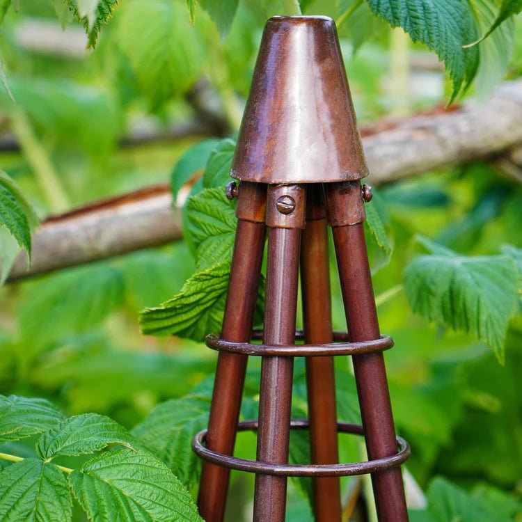 Outdoor Garden Climber Tripod Metal Plant Support Bronze Finish - Fully Collapsible For Storage Quality Home Decor Garden & Outdoor Living and Gifts