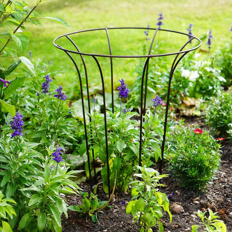 Outdoor Garden Fluted Climber Metal Plant Support Bronze Finish - Frost Resistant Quality Home Decor Garden & Outdoor Living and Gifts