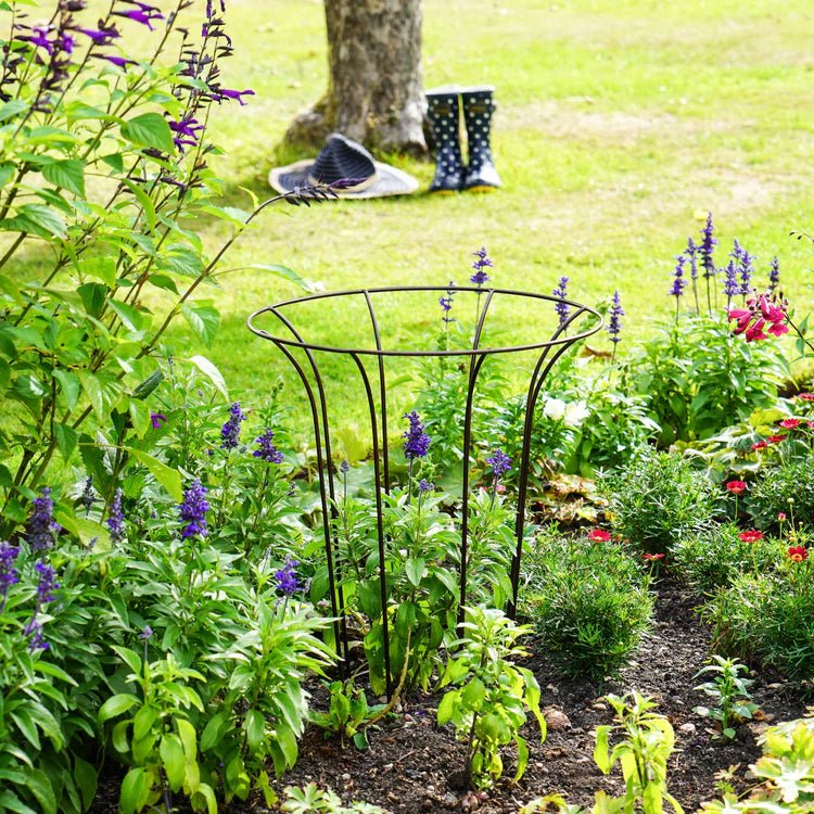 Outdoor Garden Fluted Climber Metal Plant Support Bronze Finish - Frost Resistant Quality Home Decor Garden & Outdoor Living and Gifts