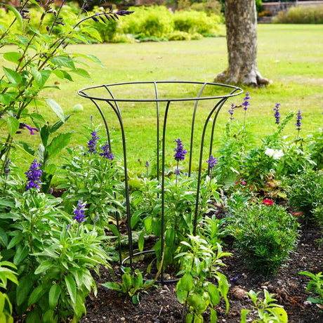 Outdoor Garden Fluted Climber Plant Support Zinc Finish - Frost Resistant, Protective Coating Quality Home Decor Garden & Outdoor Living and Gifts