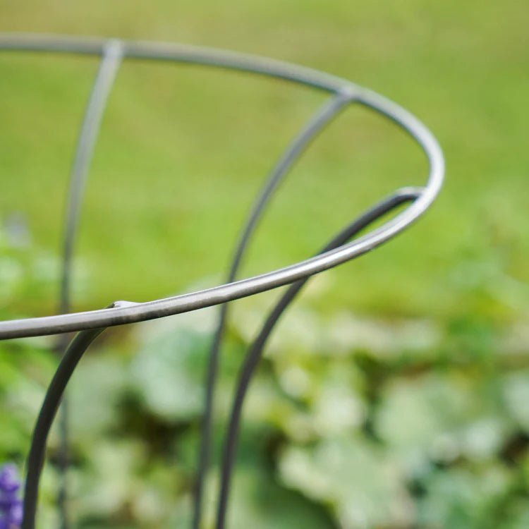 Outdoor Garden Fluted Climber Plant Support Zinc Finish - Frost Resistant, Protective Coating Quality Home Decor Garden & Outdoor Living and Gifts