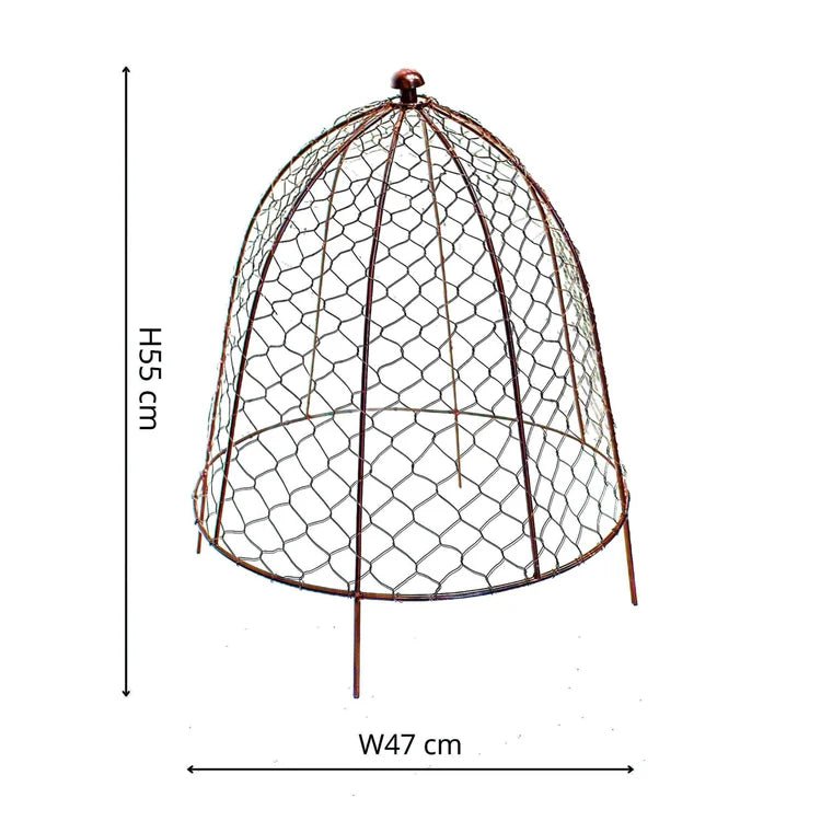 Outdoor Garden Large Wire Netted Plant Protector Cage - Bronze Finish, Frost Resistant Quality Home Decor Garden & Outdoor Living and Gifts