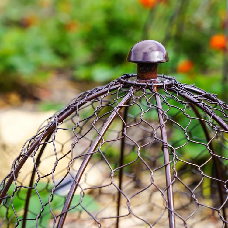 Outdoor Garden Small Wire Netted Plant Protector Cage - Bronze Finish, Frost Resistant Quality Home Decor Garden & Outdoor Living and Gifts