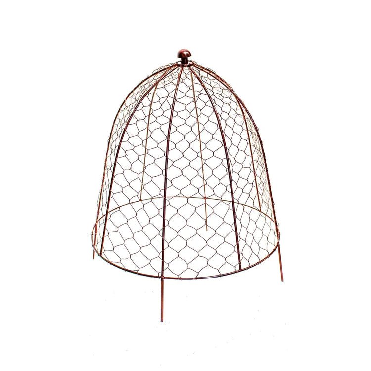 Outdoor Garden Small Wire Netted Plant Protector Cage - Bronze Finish, Frost Resistant Quality Home Decor Garden & Outdoor Living and Gifts