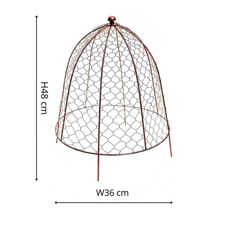 Outdoor Garden Small Wire Netted Plant Protector Cage - Bronze Finish, Frost Resistant Quality Home Decor Garden & Outdoor Living and Gifts