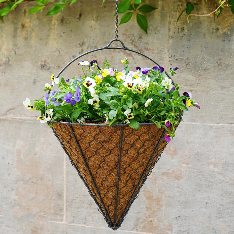 Outdoor Garden Wired Netted Hanging Basket - Cone Shape, Bronze Finish, Frost Resistant Quality Home Decor Garden & Outdoor Living and Gifts
