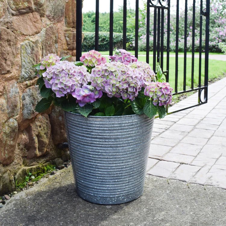 Outdoor Large Ribbed Planter Galvanised Iron - UV Stable Rust Resistant Frost Resistant Quality Home Decor Garden & Outdoor Living and Gifts