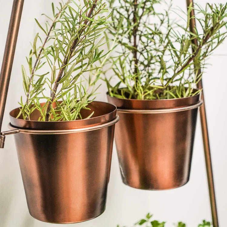 Outdoor Large Vertical Gold Wall Plant Stand w/Planters - Rust & Frost Resistant, Lightweight Quality Home Decor Garden & Outdoor Living and Gifts