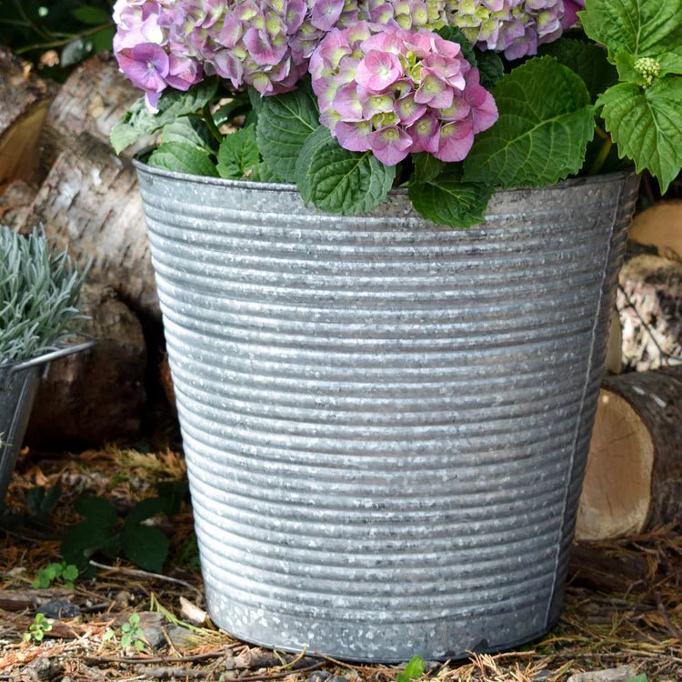 Outdoor Small Ribbed Planter Galvanised Iron - Ridged Detailing, Rust & Frost Resistant Quality Home Decor Garden & Outdoor Living and Gifts