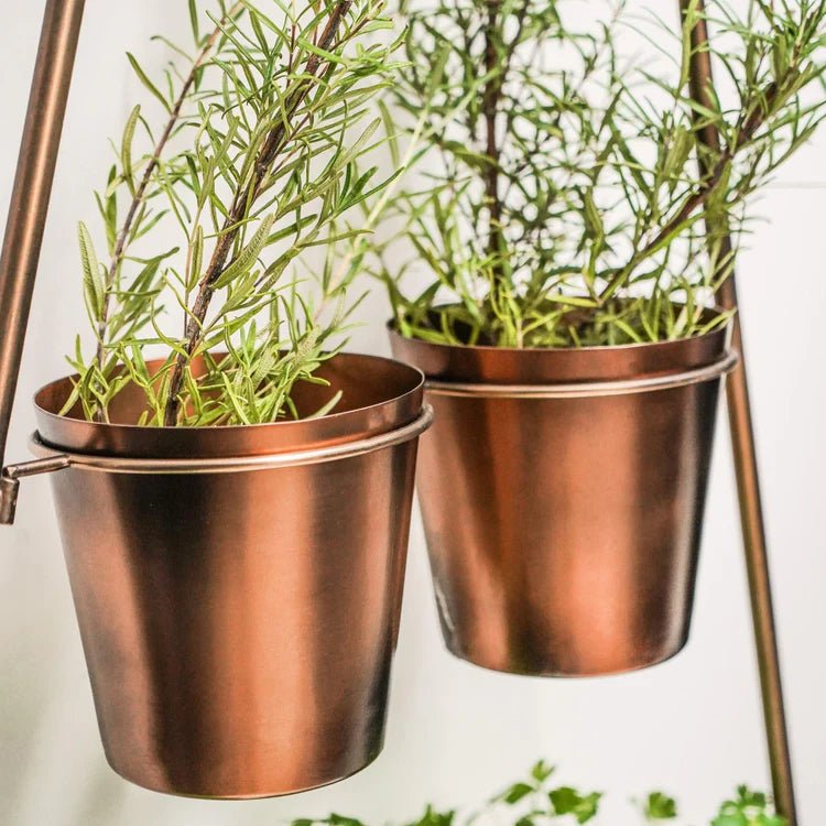 Outdoor Small Vertical Gold Wall Plant Stand w/Planters - Rust & Frost Resistant, Lightweight Quality Home Decor Garden & Outdoor Living and Gifts