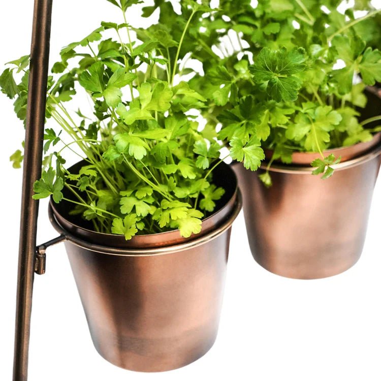 Outdoor Small Vertical Gold Wall Plant Stand w/Planters - Rust & Frost Resistant, Lightweight Quality Home Decor Garden & Outdoor Living and Gifts