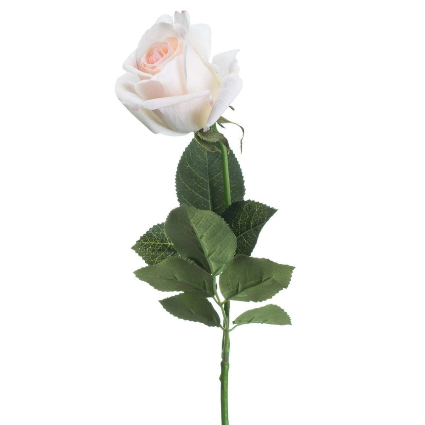 Palest Pink Tea Rose Luxury Home Decor Garden & Outdoor And Gifts