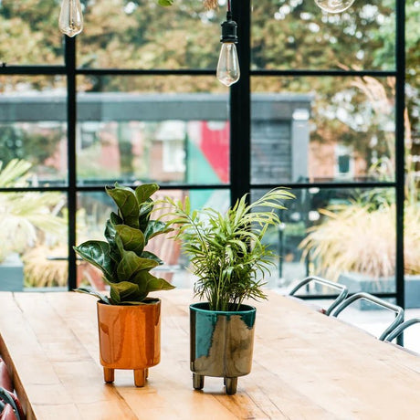 Pisa Indoor Planter Bowl w/Legs Emerald Green Ceramic - Waterproof, Tribal & Mid - Century Style Quality Home Decor Garden & Outdoor Living and Gifts