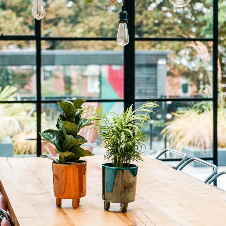 Pisa Large Indoor Planter w/Legs Mustard Ceramic - Sturdy 3 Feet, Waterproof, UV Stable Quality Home Decor Garden & Outdoor Living and Gifts