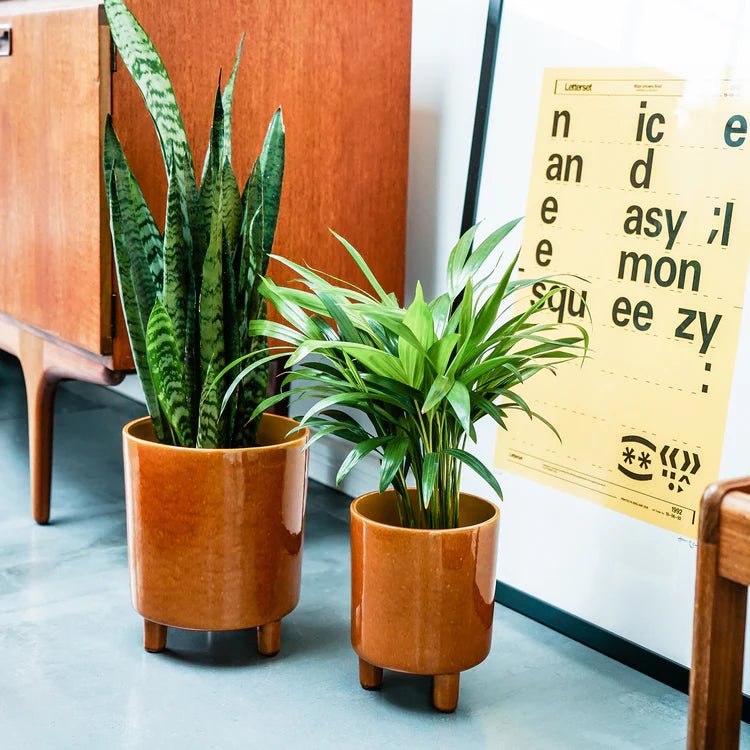 Pisa Medium Indoor Planter w/Legs Mustard Ceramic - Waterproof, Classic Design Quality Home Decor Garden & Outdoor Living and Gifts