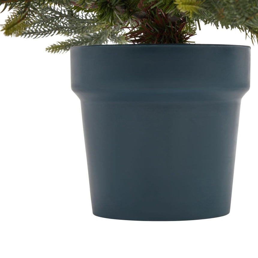 Potted Natural Pine Tree Luxury Home Decor Garden & Outdoor And Gifts