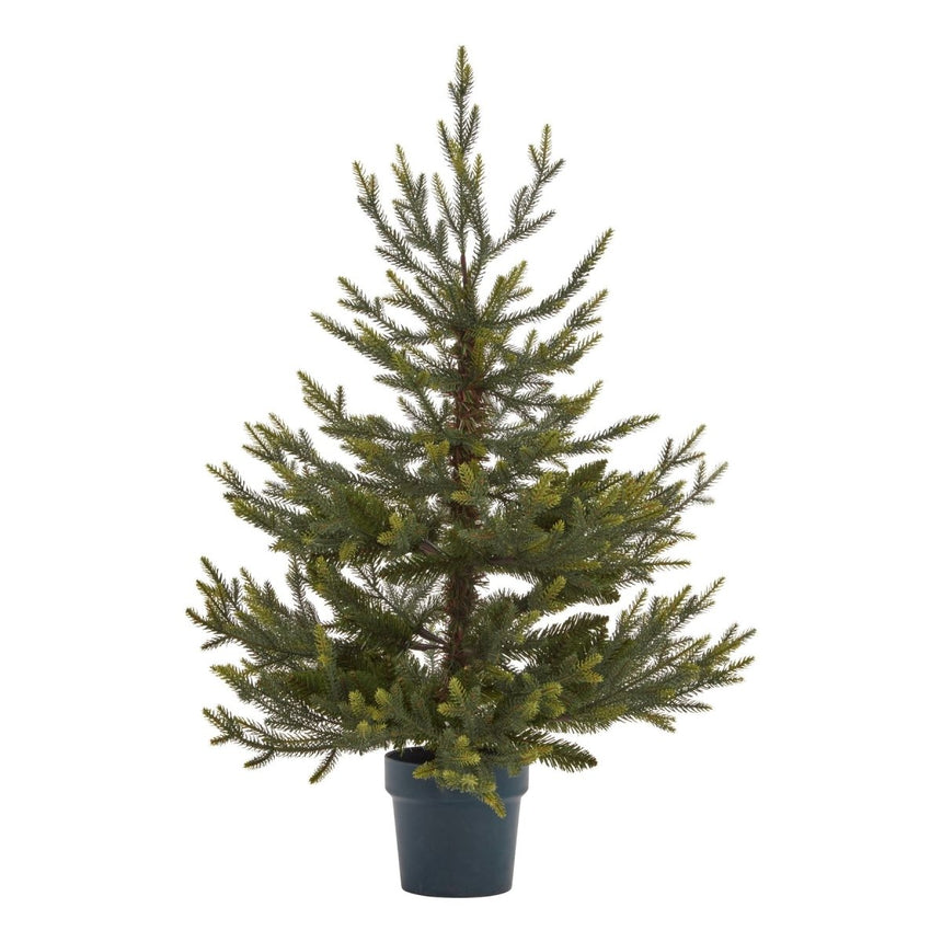 Potted Natural Pine Tree Luxury Home Decor Garden & Outdoor And Gifts