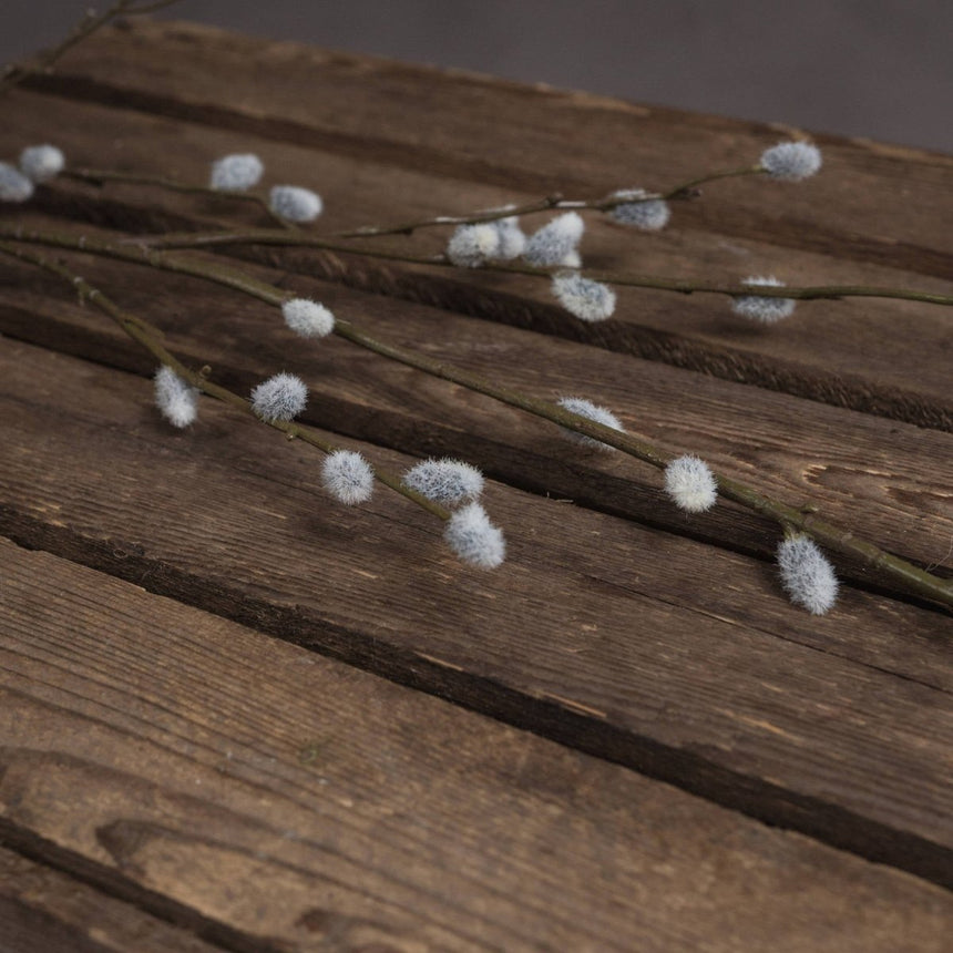 Pussy Willow Branch Luxury Home Decor Garden & Outdoor And Gifts