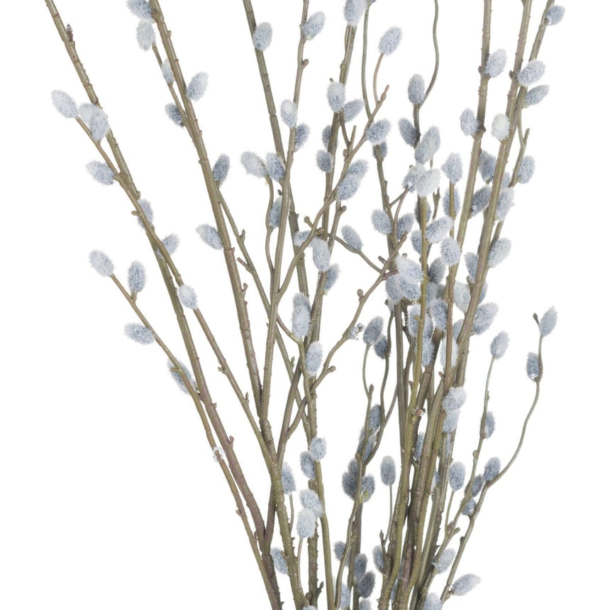 Pussy Willow Branch Luxury Home Decor Garden & Outdoor And Gifts