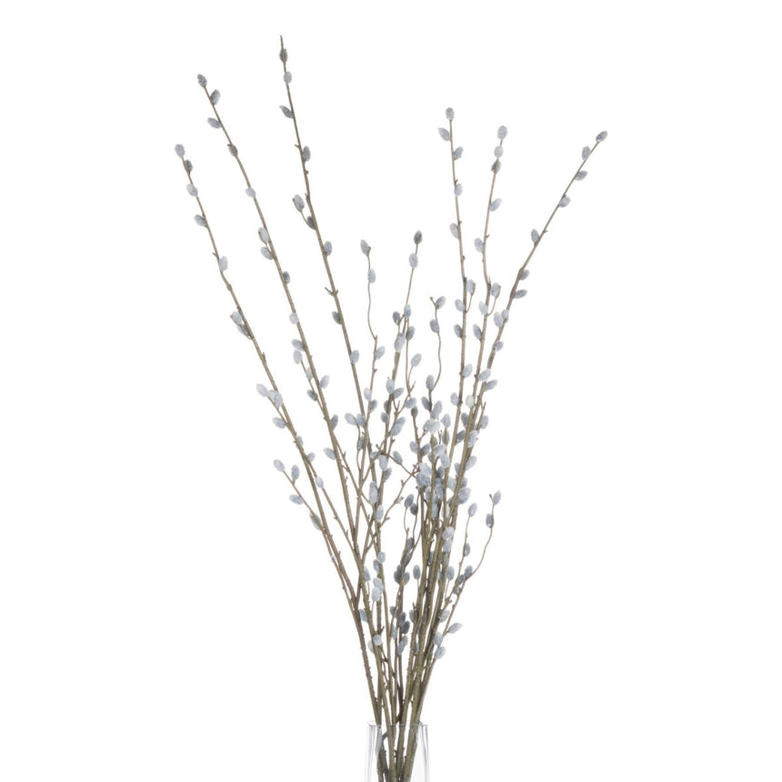 Pussy Willow Branch Luxury Home Decor Garden & Outdoor And Gifts