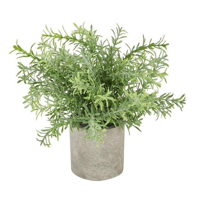 Rosemary Plant In Stone Effect Pot - Artificial Potted Plants Luxury Home Decor Garden & Outdoor And Gifts
