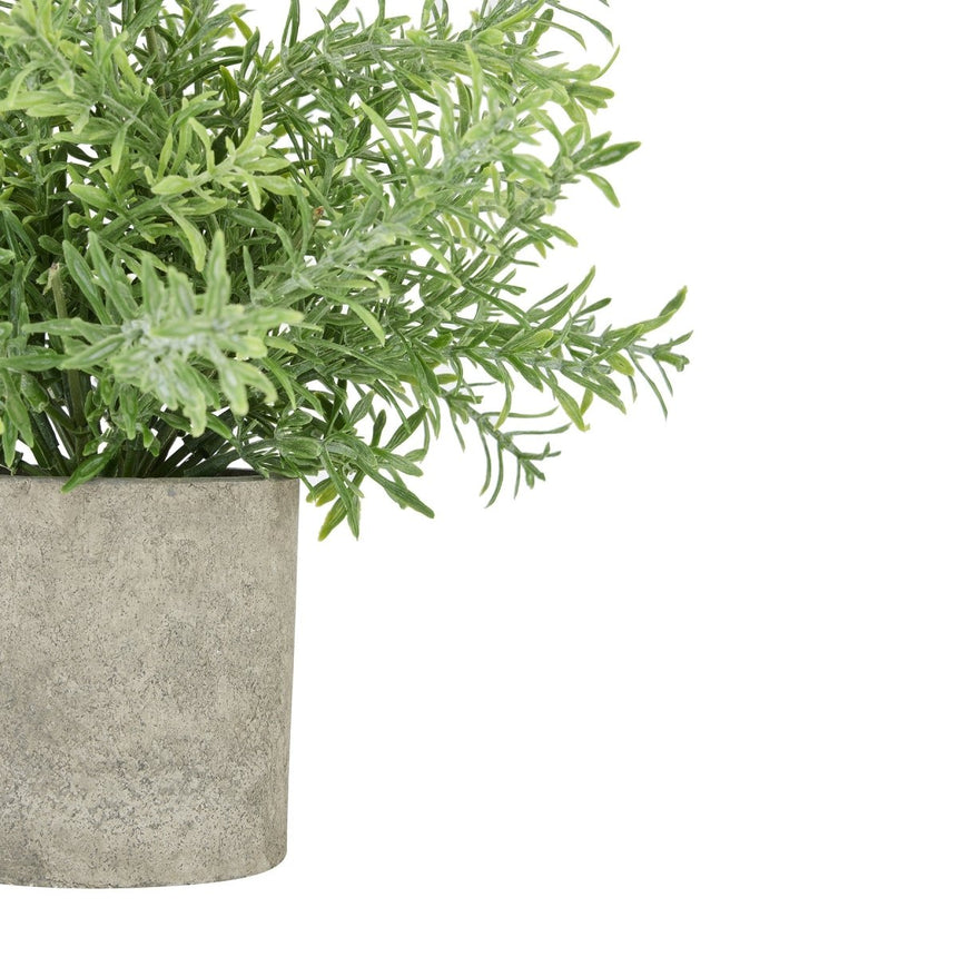 Rosemary Plant In Stone Effect Pot - Artificial Potted Plants Luxury Home Decor Garden & Outdoor And Gifts