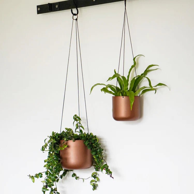 Royal Kew Gardens Indoor Metal Hanging Planter - Copper Finish With a Wall Hook Luxury Home Decor Garden & Outdoor And Gifts