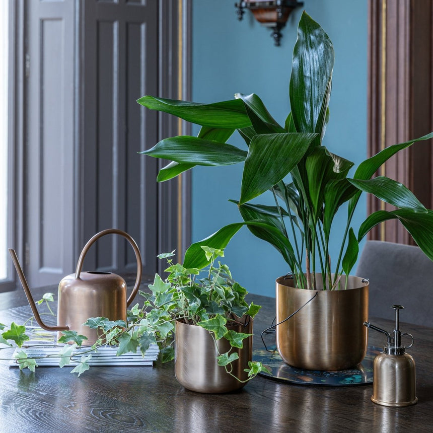 Royal Kew Gardens Indoor Metal Watering Can - Matt Brass Finish & Comes in a Gift Box Luxury Home Decor Garden & Outdoor And Gifts