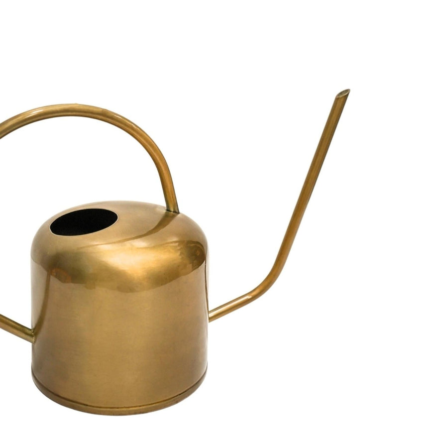 Royal Kew Gardens Indoor Metal Watering Can - Matt Brass Finish & Comes in a Gift Box Luxury Home Decor Garden & Outdoor And Gifts