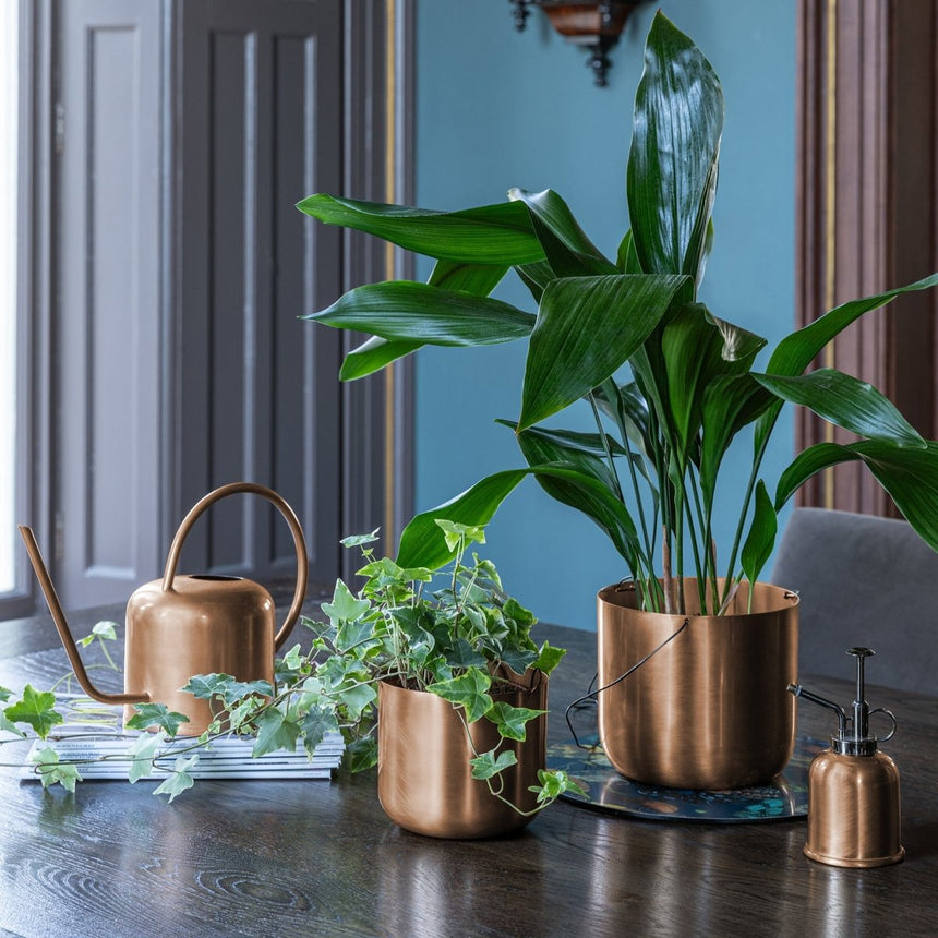 Royal Kew Gardens Metal Plant Mister - Matt Copper Finish & Comes in a Gift Box Luxury Home Decor Garden & Outdoor And Gifts