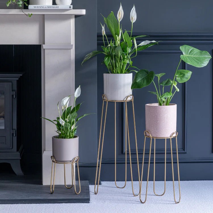Saluzzo Large Indoor Plant Stand Gold Metal - Sleek & Contemporary, Suits Modern Interiors Quality Home Decor Garden & Outdoor Living and Gifts