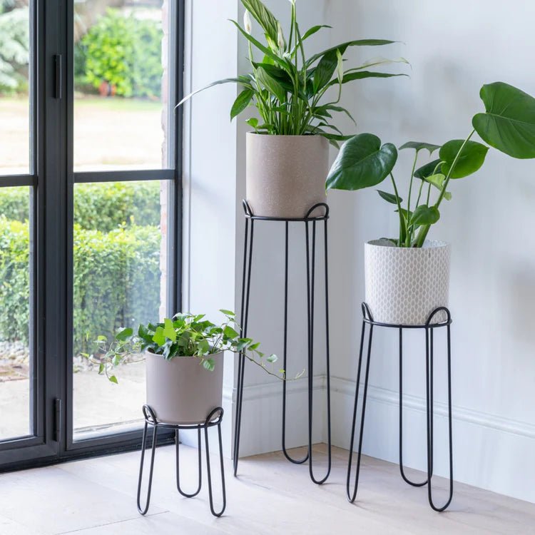 Saluzzo Medium Indoor Plant Stand Black Metal - Versatile, Suits Most Pot Sizes Quality Home Decor Garden & Outdoor Living and Gifts