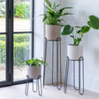 Saluzzo Small Indoor Plant Stand Black Metal - Sleek & Contemporary, Suits Modern Interiors Quality Home Decor Garden & Outdoor Living and Gifts