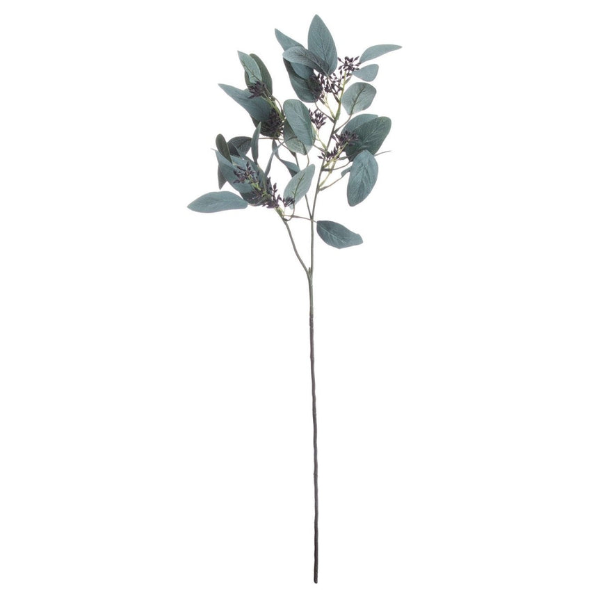Seeded Eucalyptus Stem Luxury Home Decor Garden & Outdoor And Gifts