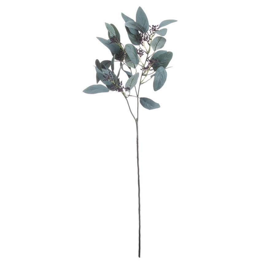 Seeded Eucalyptus Stem Luxury Home Decor Garden & Outdoor And Gifts