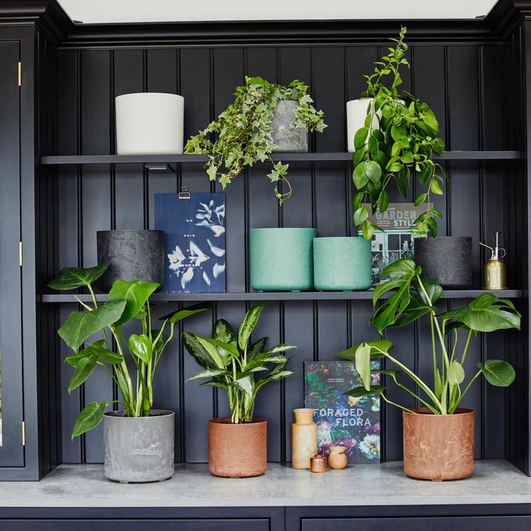 Set of 2 Celine Indoor Planters Grey Stone Finish - Waterproof, 100% Recycled, UV Stable Quality Home Decor Garden & Outdoor Living and Gifts